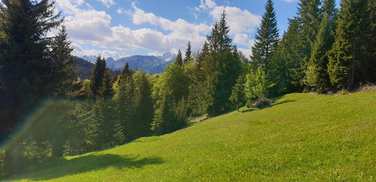 Mountain Eco Chalet Konjska Dolina On 1400 M Asl -Near Pokljuka Srednja Vas v Bohinju Exterior photo